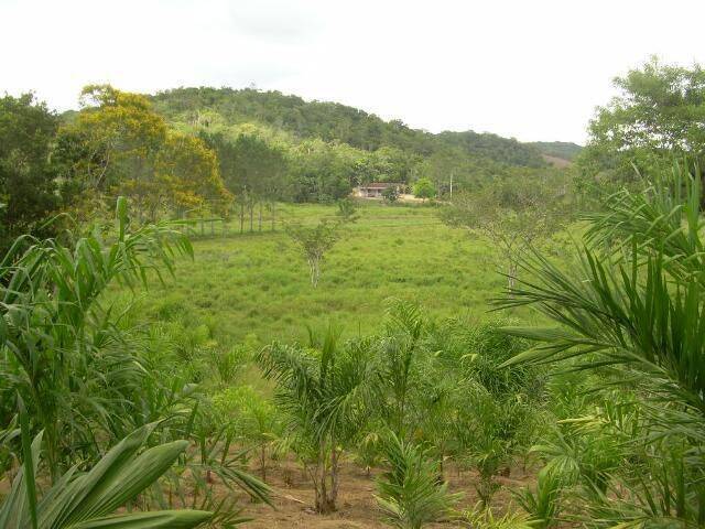 Área para Venda em Suzano - 2