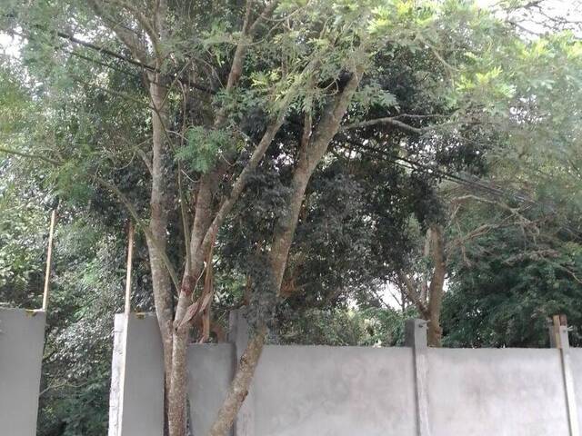 Terreno para Venda em Cotia - 4