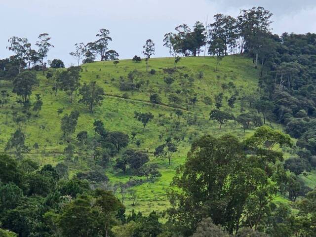Área para Venda em Atibaia - 3