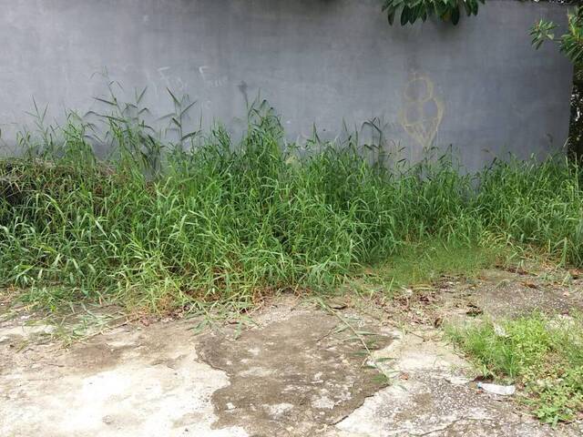 Terreno para Venda em São Paulo - 2