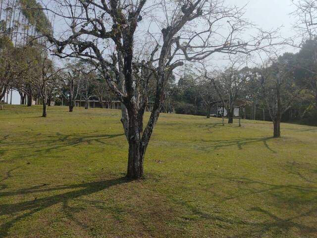 Sítio para Venda em Mogi das Cruzes - 4