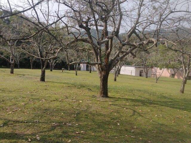 Sítio para Venda em Mogi das Cruzes - 5