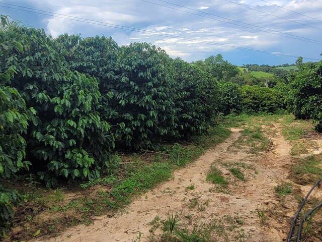 Sítio para Venda em Monte Mor - 4