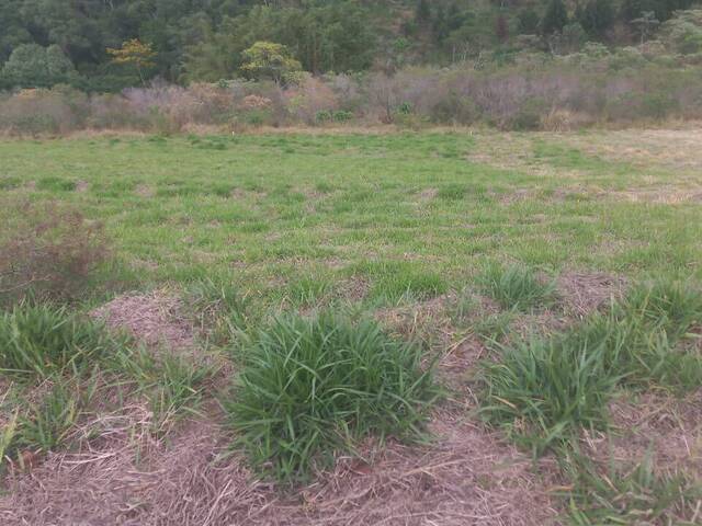 Terreno para Venda em Joanópolis - 5