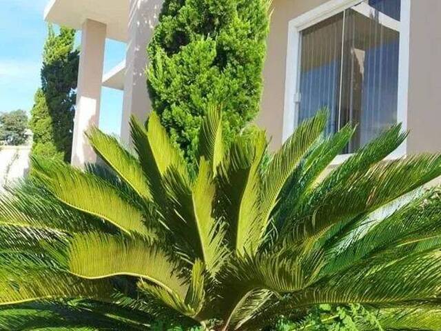 Chácara para Venda em Pinhalzinho - 2