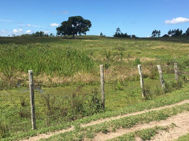 Fazenda para Venda em Araruama - 3