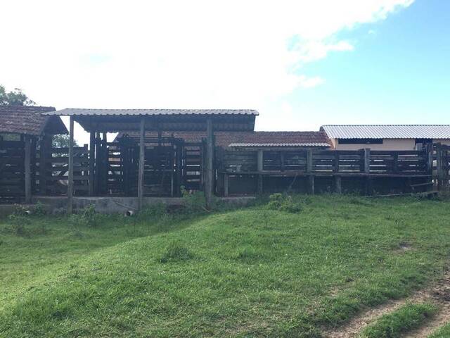 Fazenda para Venda em Araruama - 5