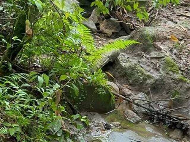 Terreno para Venda em Camanducaia - 3