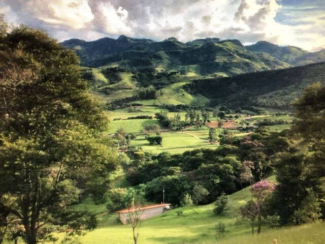 Chácara para Venda em Gonçalves - 3