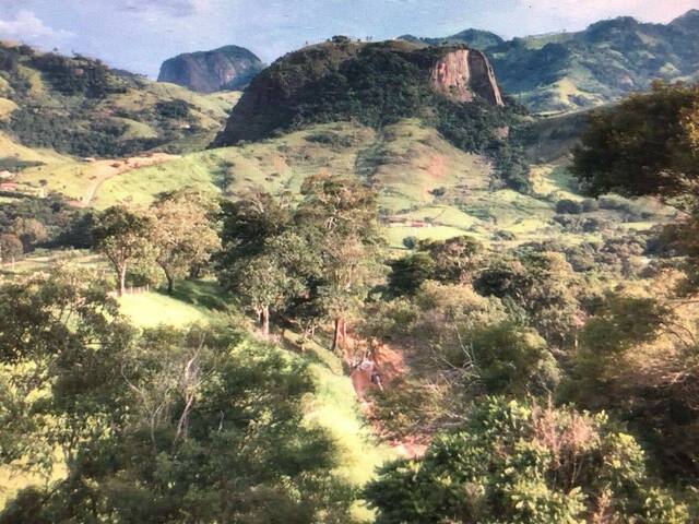 Chácara para Venda em Gonçalves - 4
