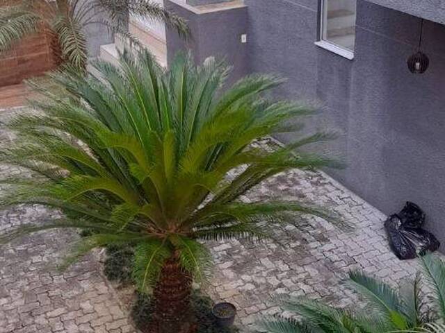 Sobrado para Venda em Caraguatatuba - 3