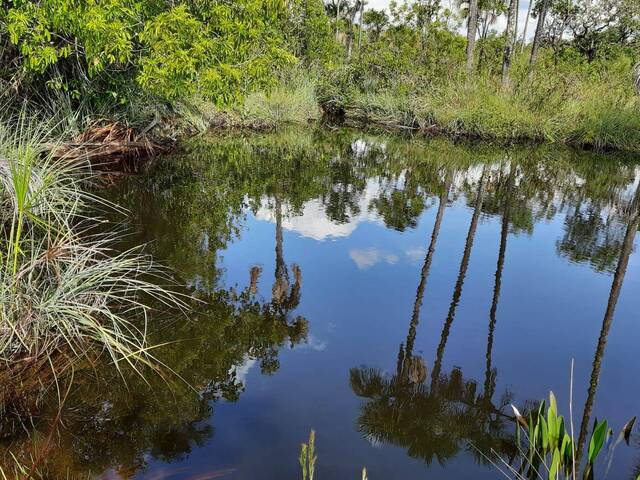 Fazenda para Venda em Arinos - 3