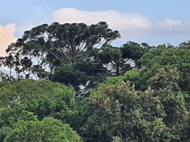 Área para Venda em Atibaia - 4