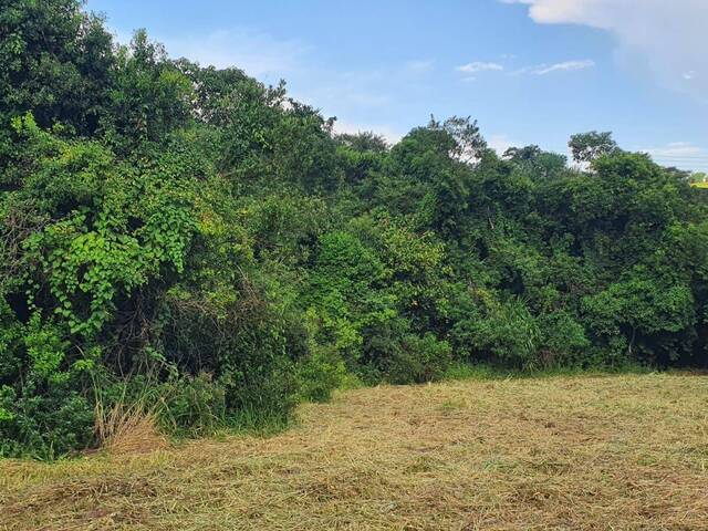 Área para Venda em Atibaia - 5