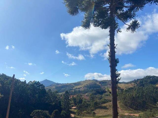 Terreno para Venda em Camanducaia - 3