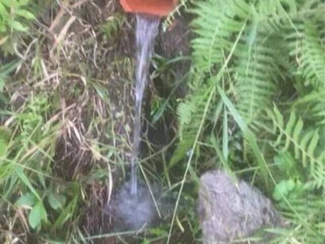 Área para Venda em Itapeva - 5