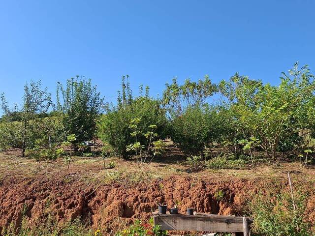 Chácara para Venda em Cambuí - 4