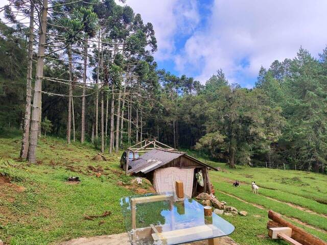 Sítio para Venda em Camanducaia - 3