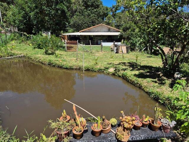 Chácara para Venda em Pedra Bela - 2