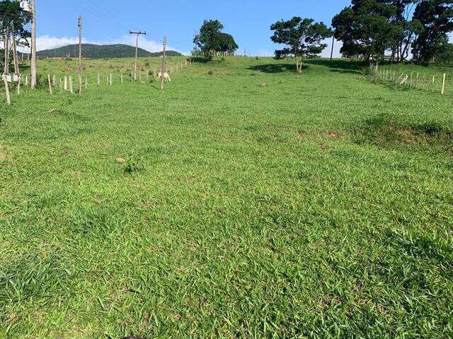 Venda em Guaraiuva - Vargem