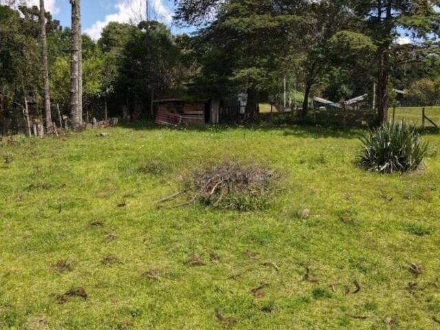 Venda em Jardim do Embaixador - Campos do Jordão