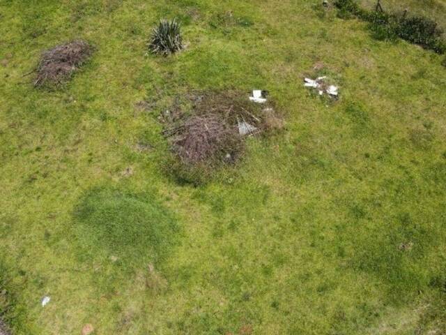 Terreno para Venda em Campos do Jordão - 5