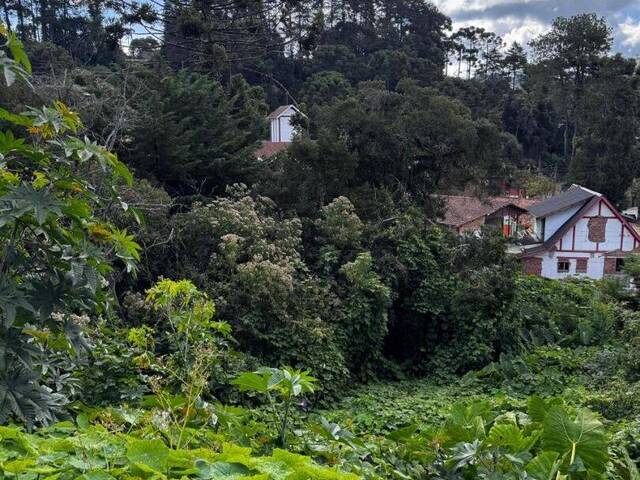 Terreno para Venda em Campos do Jordão - 2