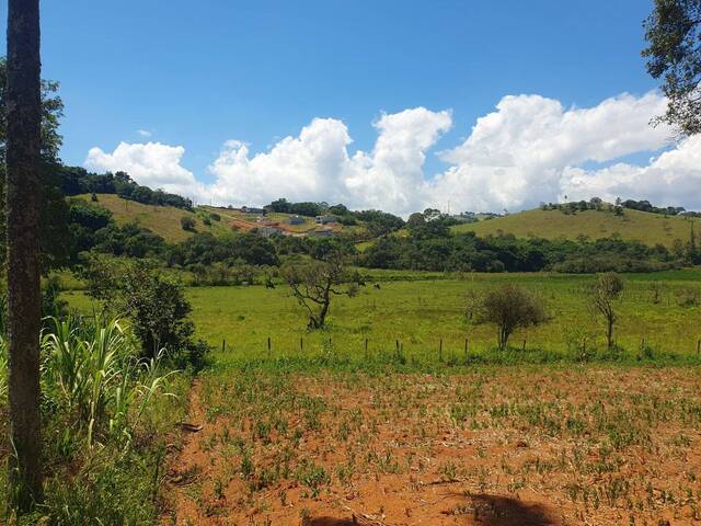 Sítio para Venda em Cambuí - 3