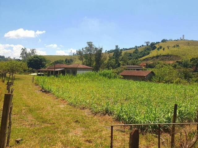 Sítio para Venda em Cambuí - 5