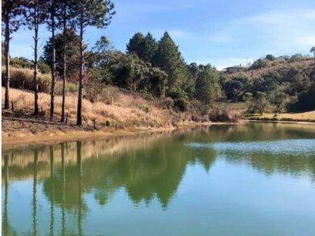 Terreno para Venda em Munhoz - 2