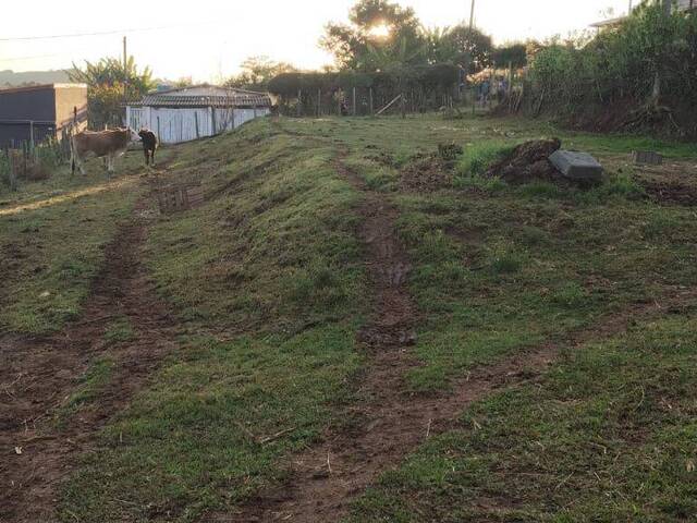 Terreno para Venda em Munhoz - 4