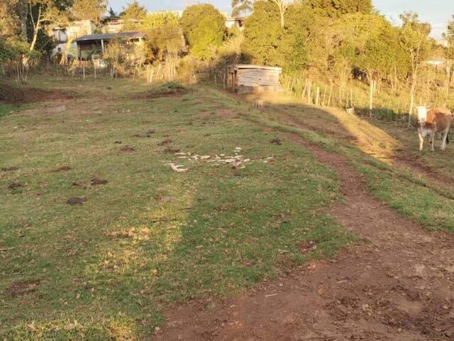 Terreno para Venda em Munhoz - 3