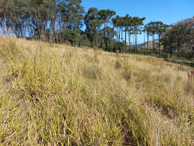 Área para Venda em Extrema - 3