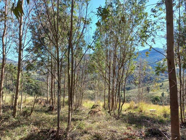 Área para Venda em Extrema - 5