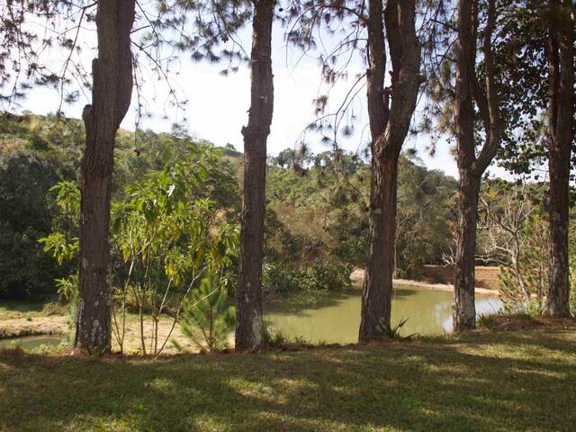 Sítio para Venda em Itapeva - 3