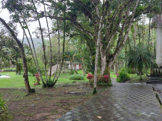 Sítio para Venda em Peruíbe - 3