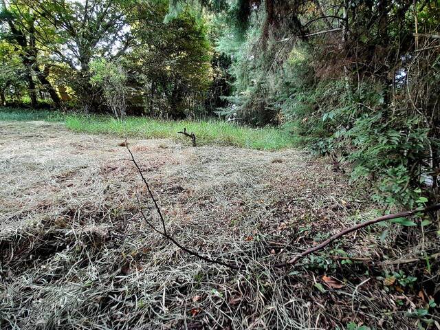 Terreno para Venda em Extrema - 4