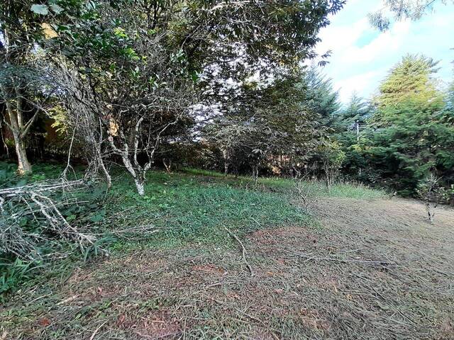 Terreno para Venda em Extrema - 5