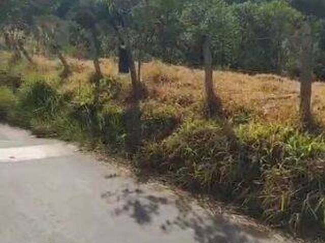 Venda em Do Barreiro - Extrema