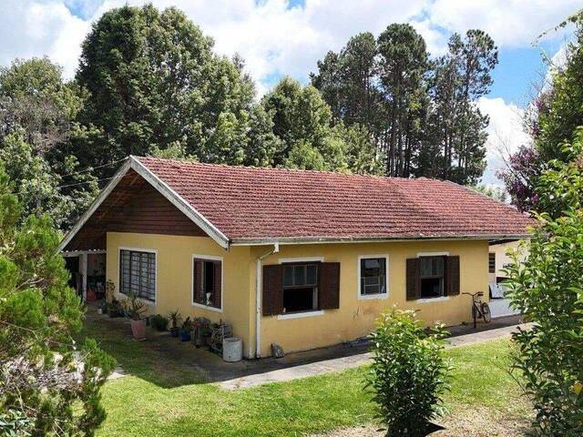 Venda em Vila Abernéssia - Campos do Jordão