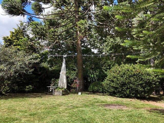 Casa para Venda em Campos do Jordão - 5