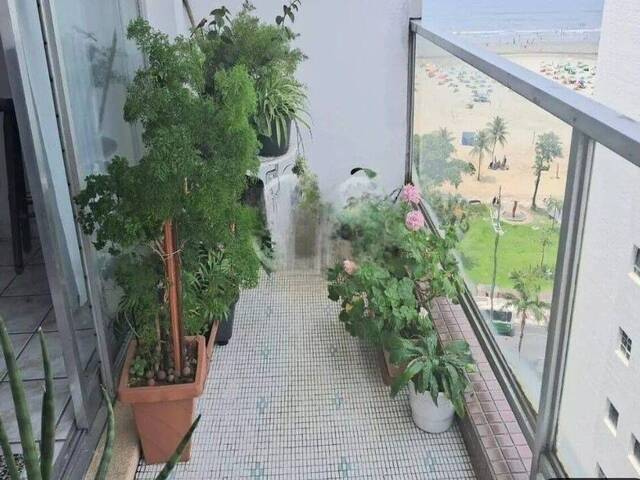 Apartamento para Venda em Santos - 2