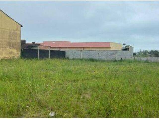 Terreno para Venda em Itanhaém - 2