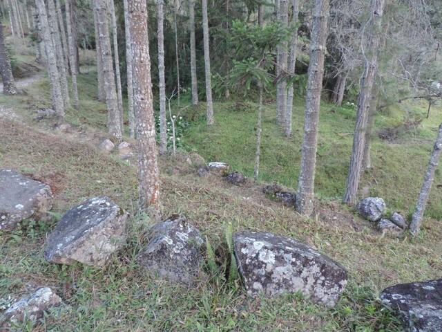 Sítio para Venda em Campos do Jordão - 2