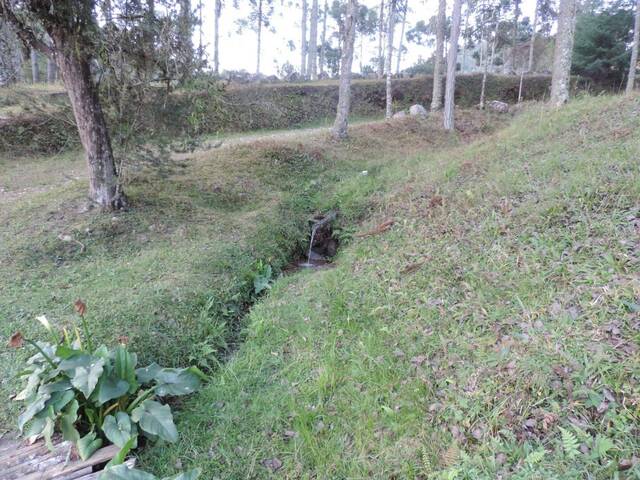 Sítio para Venda em Campos do Jordão - 3