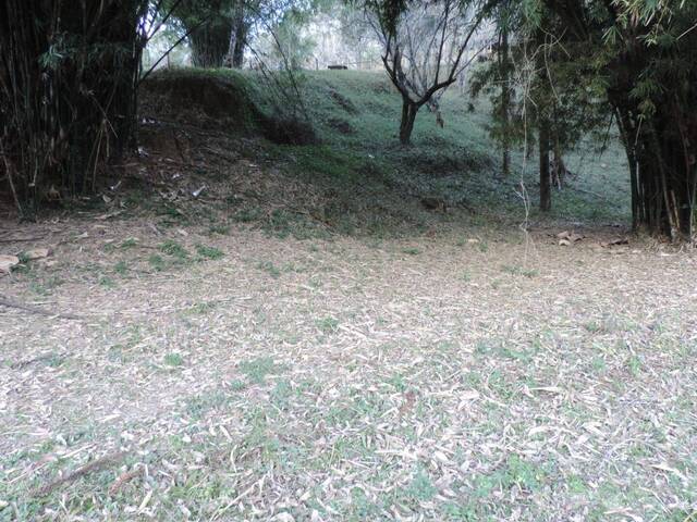 Sítio para Venda em Campos do Jordão - 5