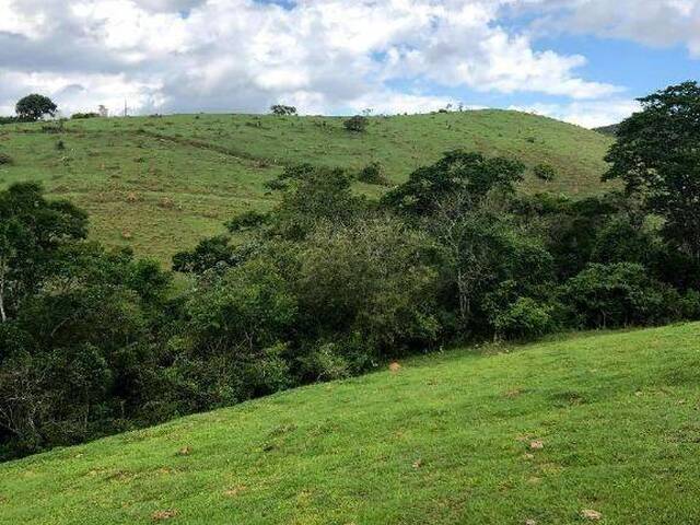 Fazenda para Venda em Jambeiro - 2