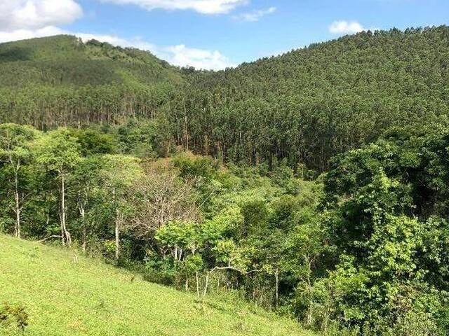 Fazenda para Venda em Jambeiro - 5