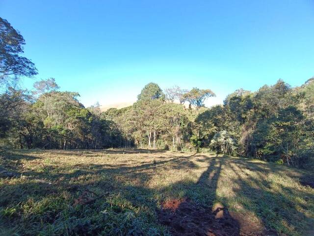 Área para Venda em Camanducaia - 2