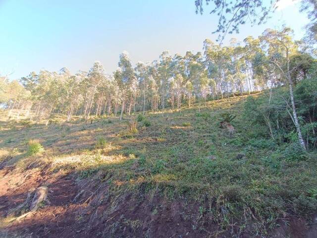 Área para Venda em Camanducaia - 3